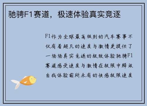 驰骋F1赛道，极速体验真实竞逐